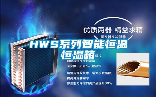 HWS系列智能恒温恒湿箱