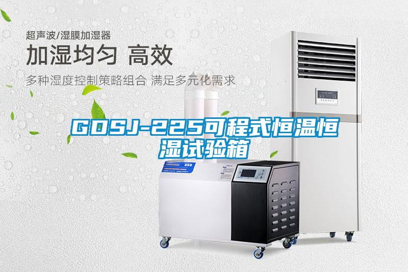 GDSJ-225可程式恒温恒湿试验箱