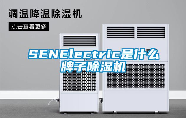 SENElectric是什么牌子除湿机