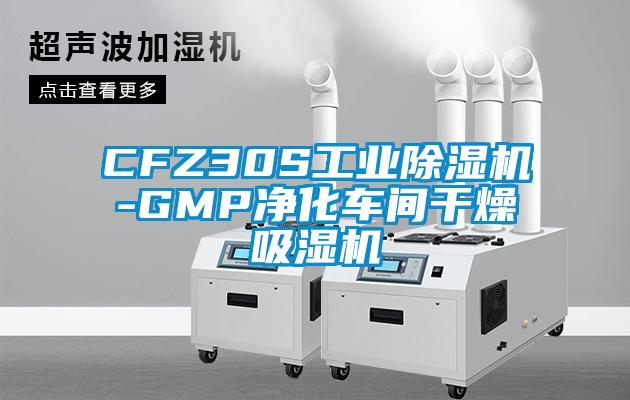CFZ30S工业除湿机-GMP净化车间干燥吸湿机
