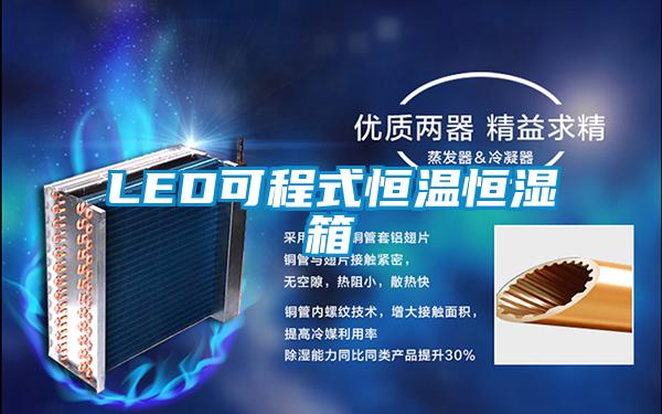 LED可程式恒温恒湿箱