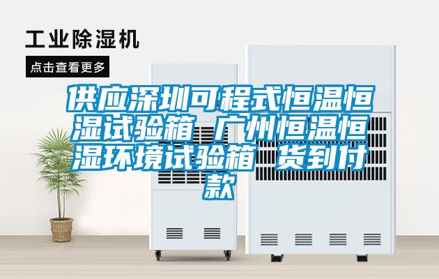 供应深圳可程式恒温恒湿试验箱 广州恒温恒湿环境试验箱 货到付款