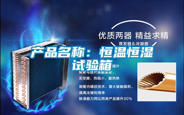 产品名称：恒温恒湿试验箱