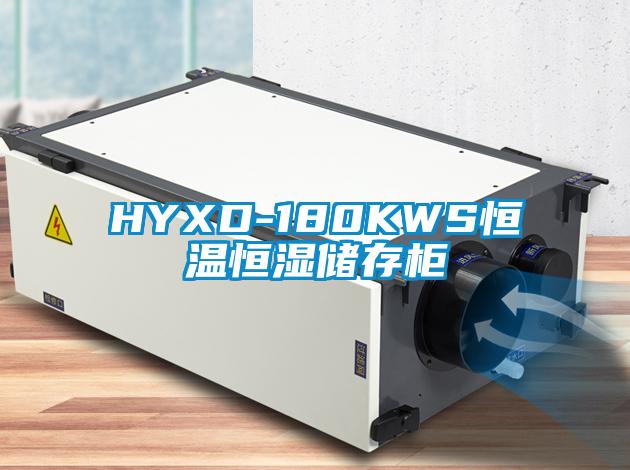 HYXD-180KWS恒温恒湿储存柜
