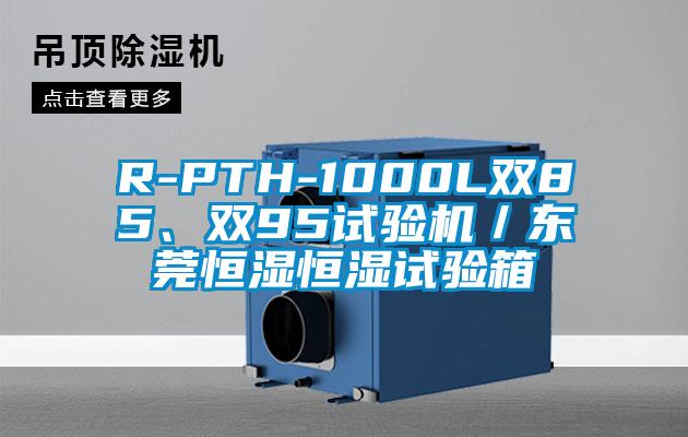 R-PTH-1000L双85、双95试验机／东莞恒湿恒湿试验箱