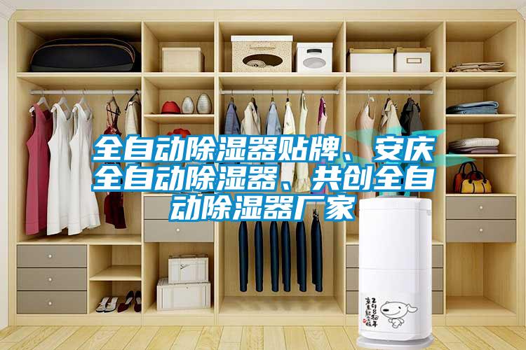 全自动除湿器贴牌、安庆全自动除湿器、共创全自动除湿器厂家