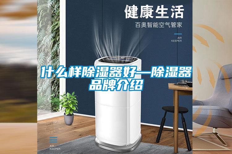 什么样除湿器好—除湿器品牌介绍