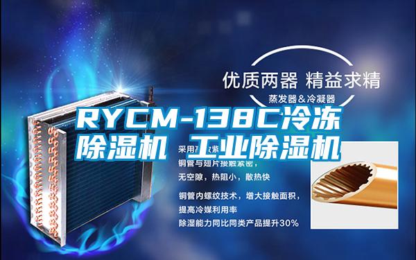 RYCM-138C冷冻除湿机 工业除湿机