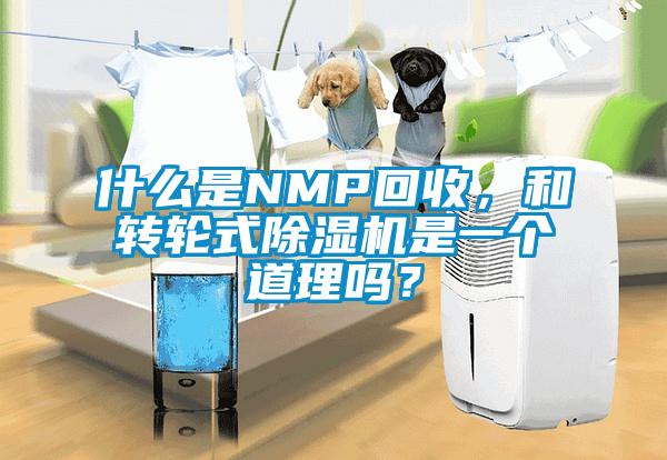 什么是NMP回收，和转轮式除湿机是一个道理吗？