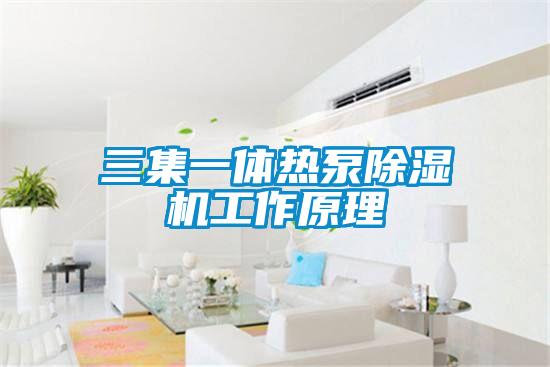 三集一体热泵除湿机工作原理