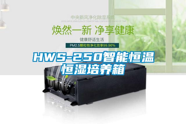 HWS-250智能恒温恒湿培养箱