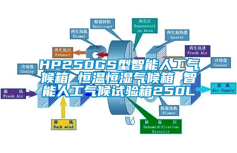 HP250GS型智能人工气候箱 恒温恒湿气候箱 智能人工气候试验箱250L