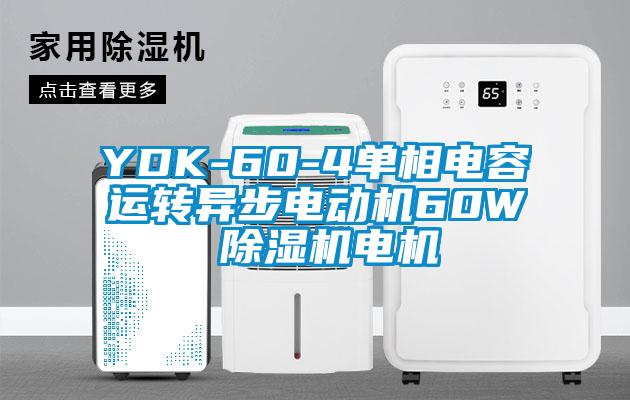 YDK-60-4单相电容运转异步电动机60W 除湿机电机