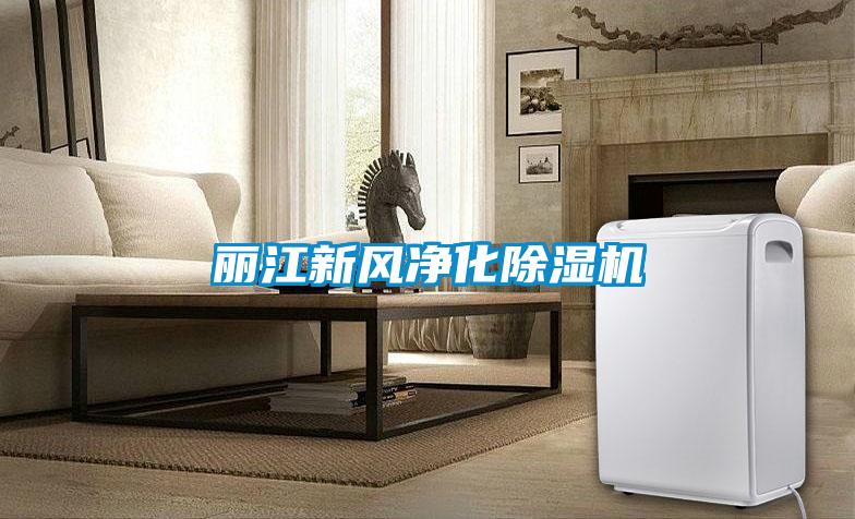 丽江新风净化除湿机