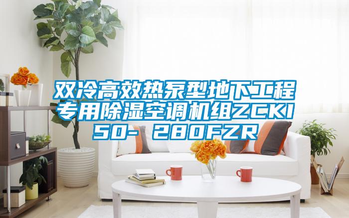 双冷高效热泵型地下工程专用除湿空调机组ZCKI50- 280FZR