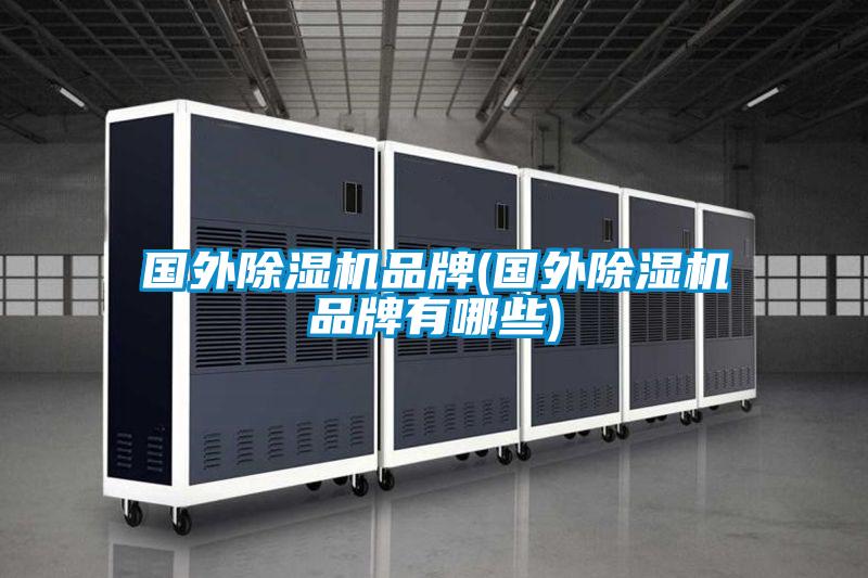 国外除湿机品牌(国外除湿机品牌有哪些)
