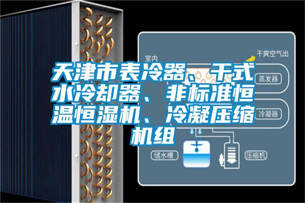 天津市表冷器、干式水冷却器、非标准恒温恒湿机、冷凝压缩机组