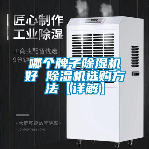 哪个牌子除湿机好 除湿机选购方法【详解】