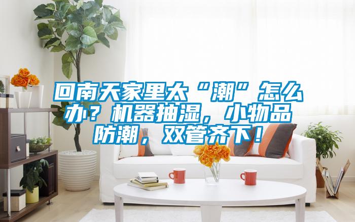 回南天家里太“潮”怎么办？机器抽湿，小物品防潮，双管齐下！