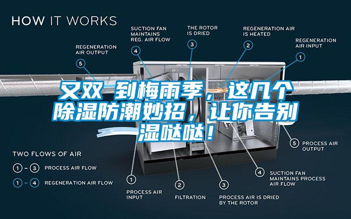 又双叒到梅雨季，这几个除湿防潮妙招，让你告别湿哒哒！