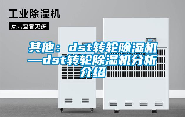 其他:dst转轮除湿机—dst转轮除湿机分析介绍