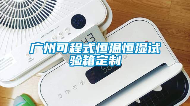 广州可程式恒温恒湿试验箱定制