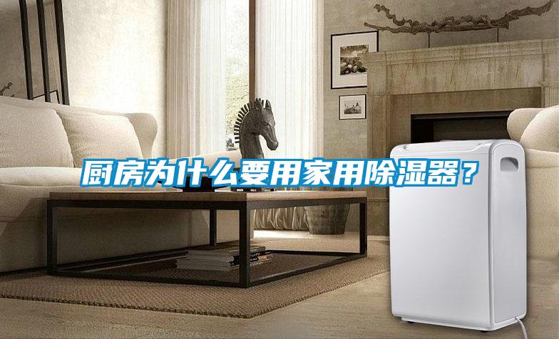 厨房为什么要用家用除湿器?