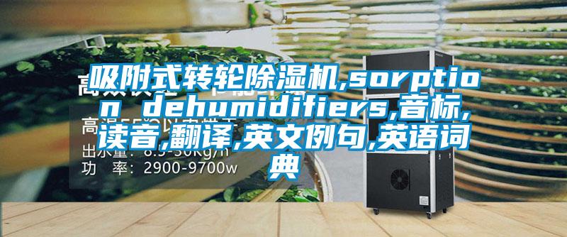 吸附式转轮除湿机,sorption dehumidifiers,音标,读音,翻译,英文例句,英语词典