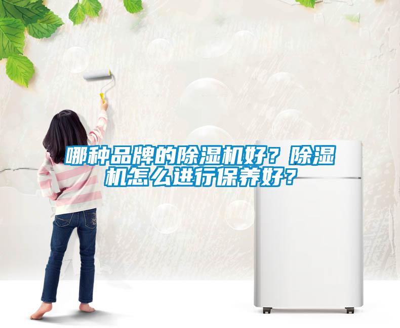 哪种品牌的除湿机好？除湿机怎么进行保养好？