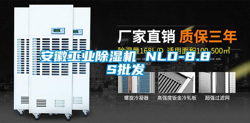 安徽工业除湿机 NLD-8.8S批发