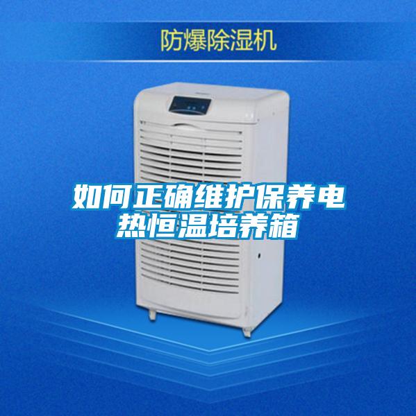 如何正确维护保养电热恒温培养箱