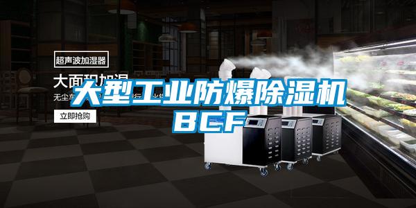 大型工业防爆除湿机BCF