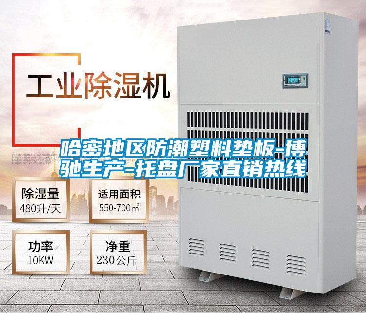 哈密地区防潮塑料垫板-博驰生产-托盘厂家直销热线