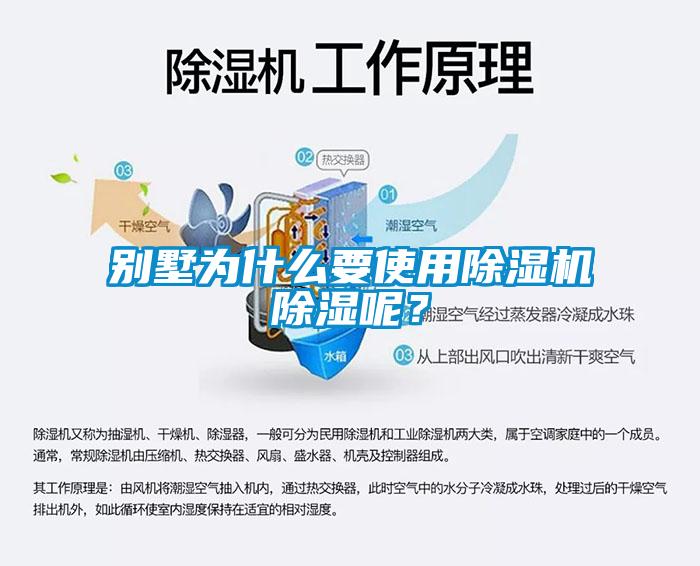 别墅为什么要使用除湿机除湿呢？