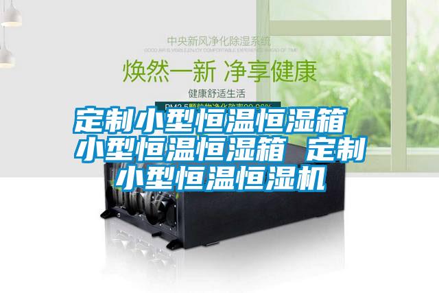 定制小型恒温恒湿箱 小型恒温恒湿箱 定制小型恒温恒湿机