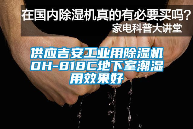 供应吉安工业用除湿机DH-818C地下室潮湿用效果好