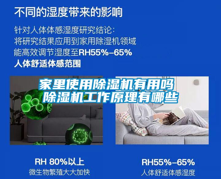 家里使用除湿机有用吗 除湿机工作原理有哪些