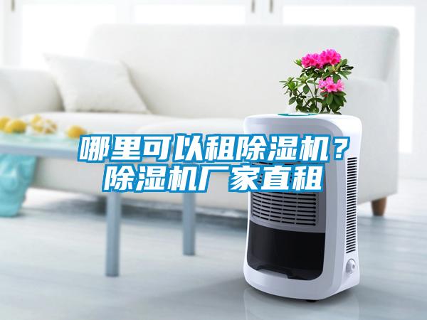 哪里可以租除湿机？除湿机厂家直租