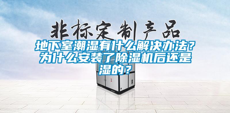 地下室潮湿有什么解决办法？为什么安装了除湿机后还是湿的？