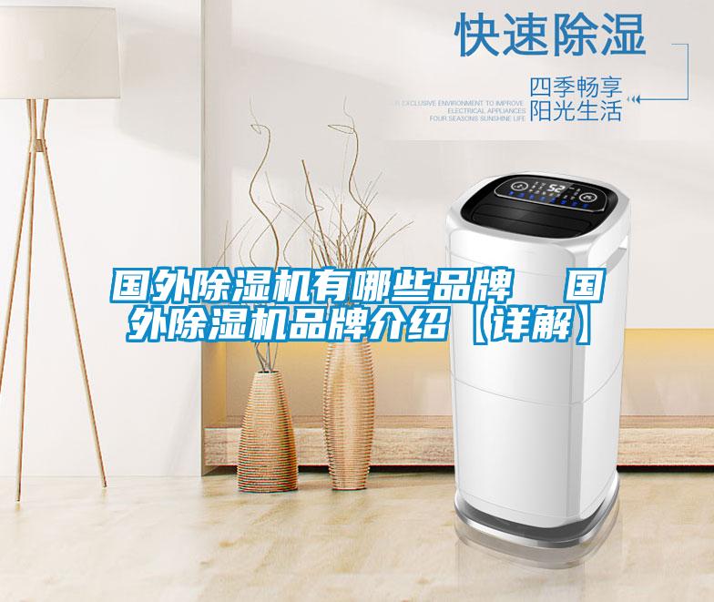 国外除湿机有哪些品牌  国外除湿机品牌介绍【详解】
