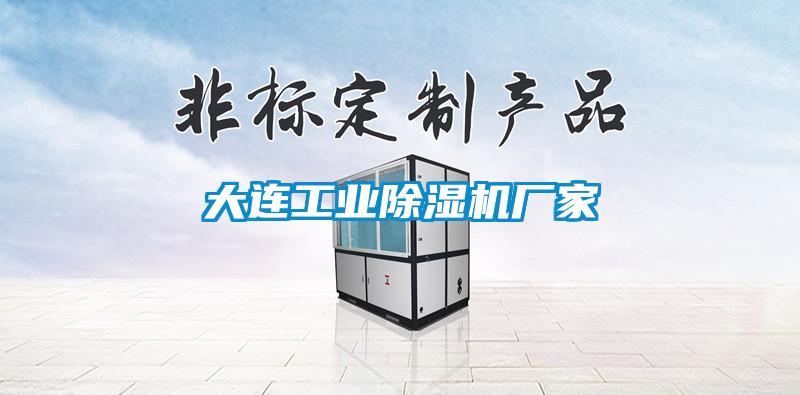 大连工业除湿机厂家
