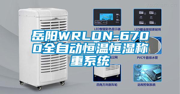 岳阳WRLDN-6700全自动恒温恒湿称重系统