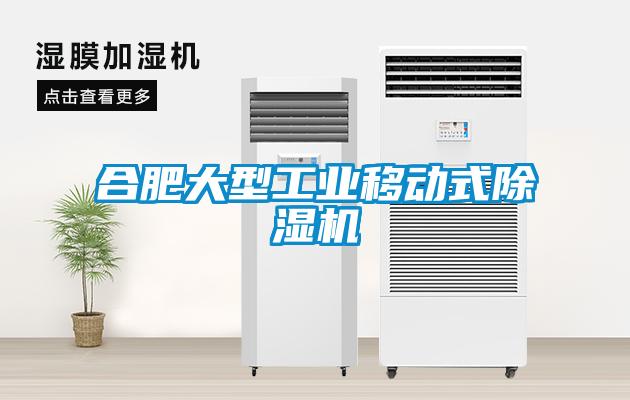 合肥大型工业移动式除湿机