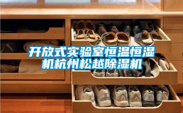开放式实验室恒温恒湿机杭州松越除湿机