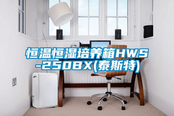 恒温恒湿培养箱HWS-250BX(泰斯特)