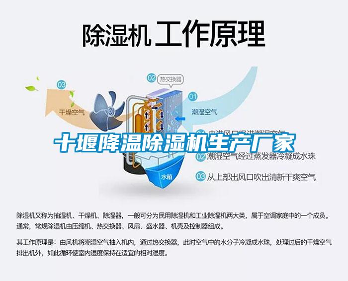 十堰降温除湿机生产厂家