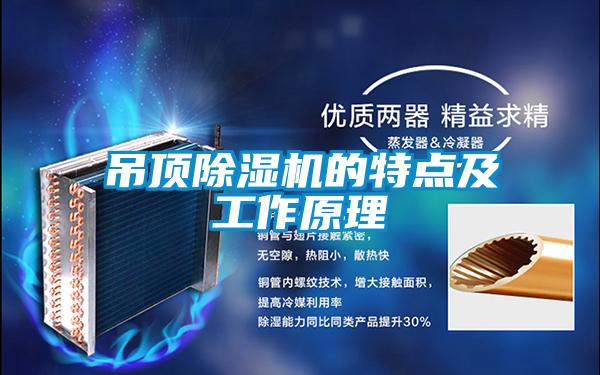 吊顶除湿机的特点及工作原理