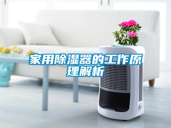 家用除湿器的工作原理解析