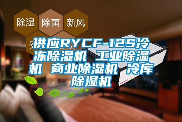 供应RYCF-12S冷冻除湿机 工业除湿机 商业除湿机 冷库除湿机