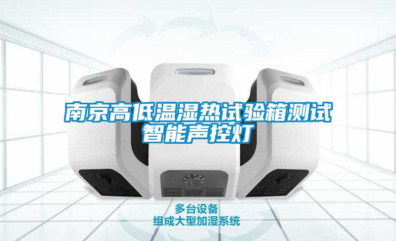 南京高低温湿热试验箱测试智能声控灯